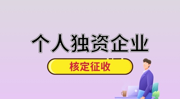 成立個人獨資咨詢公司的步驟和資料有哪些（個獨企業還能核定征收嗎）