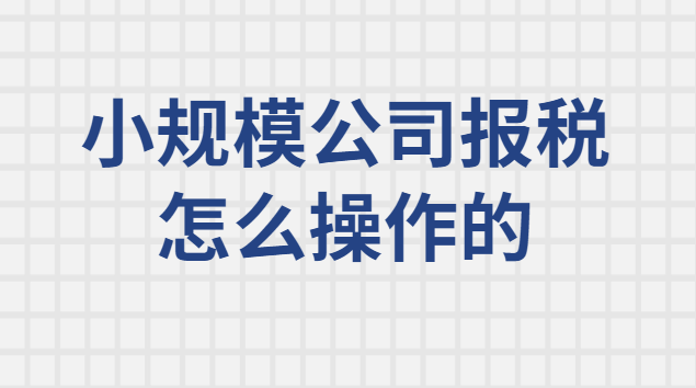 小規模納稅人每月報稅操作流程(小規模納稅人網上報稅怎么操作)